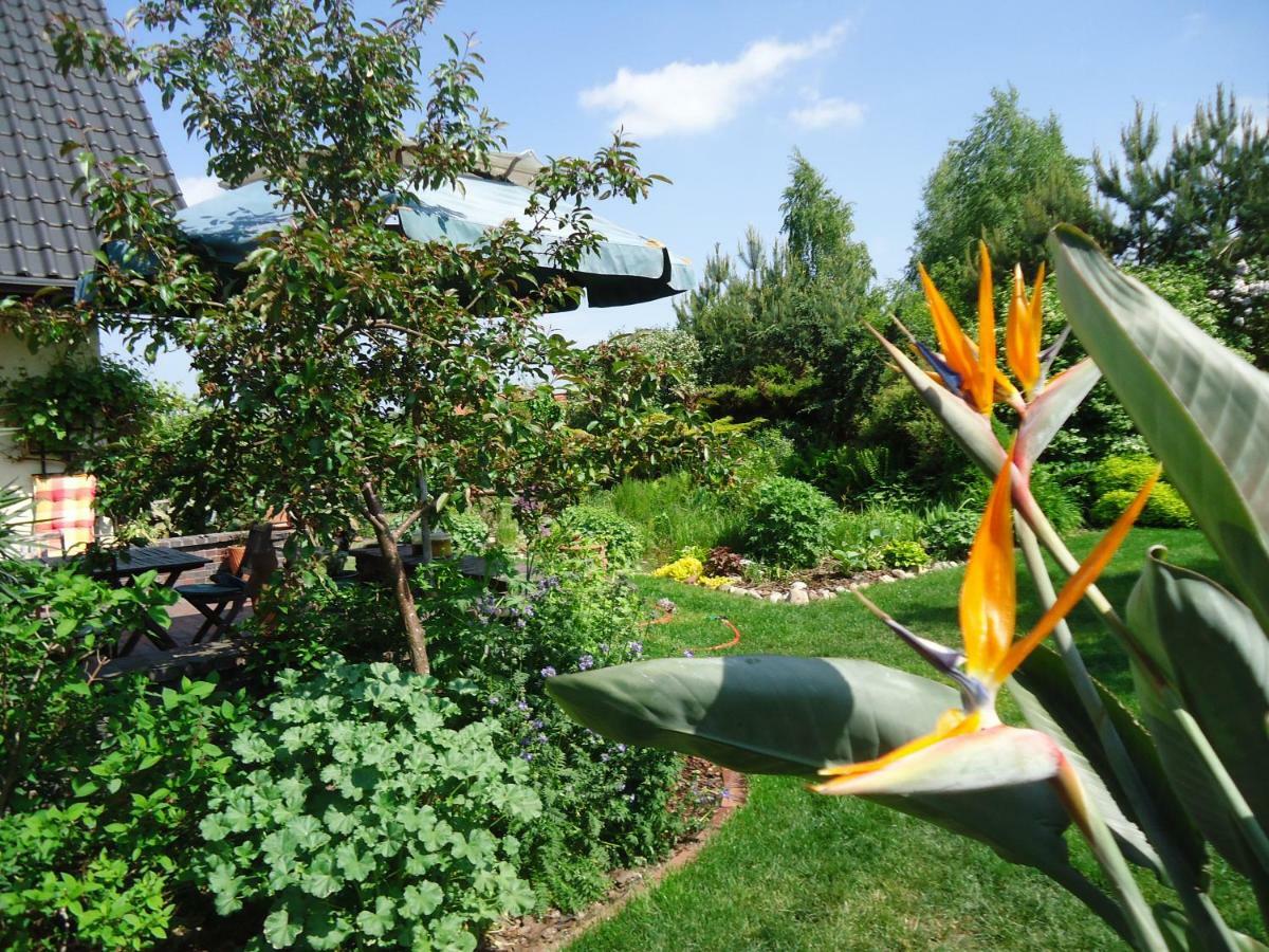 Kaszubiana Direkt In Der Natur Sulmin Exterior photo